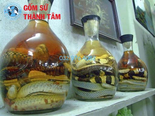 Các Loại Bình Rượu Rắn – Đặc Điểm Và Lựa Chọn Phù Hợp
