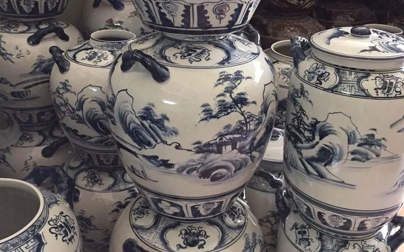 Ngâm Rượu Cây Tí Ngọ Có Tác Dụng Gì? Lợi Ích Và Cách Sử Dụng ngam ruou cay ti ngo co tac dung gi loi ich va cach su dung 67711938a08a1